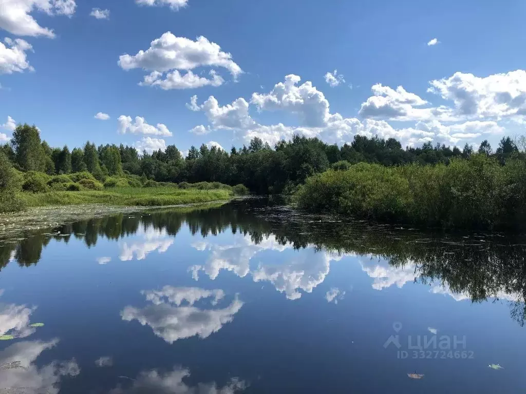 Участок в Псковская область, Псковский муниципальный округ, д. ... - Фото 1
