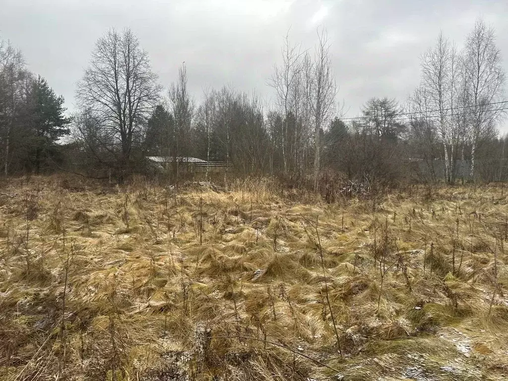 Участок в Московская область, Рузский муниципальный округ, д. ... - Фото 1