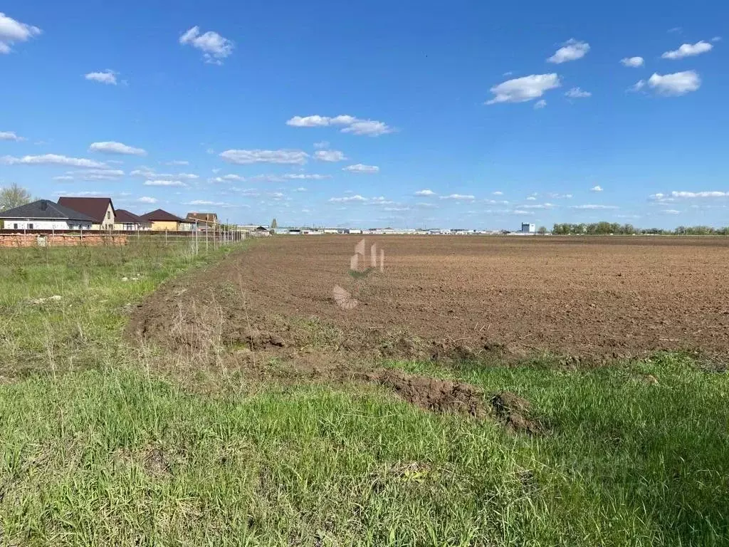 Участок в Саратовская область, Энгельсский район, Новопушкинское ... - Фото 0