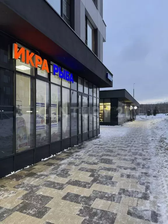 Помещение свободного назначения в Москва 2-й Грайвороновский проезд, ... - Фото 2