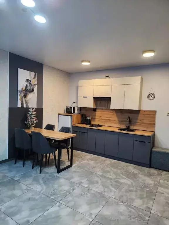 Дом в Челябинская область, Миасский городской округ, пос. Тургояк ул. ... - Фото 2