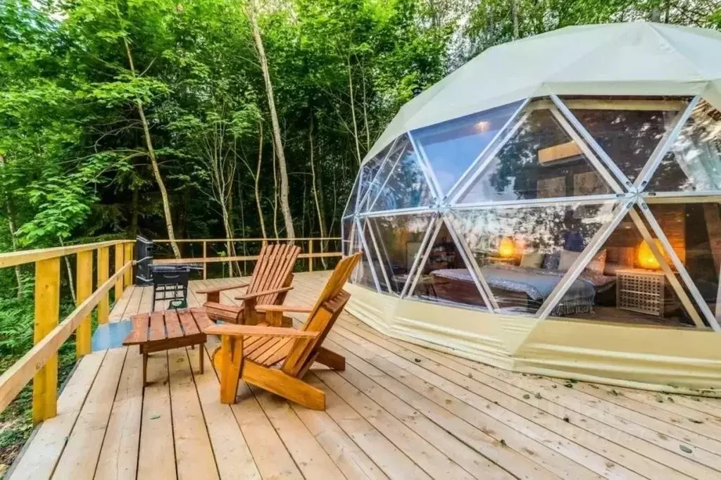 Дом в Ленинградская область, Лужский район, Заклинское с/пос, д. ... - Фото 1