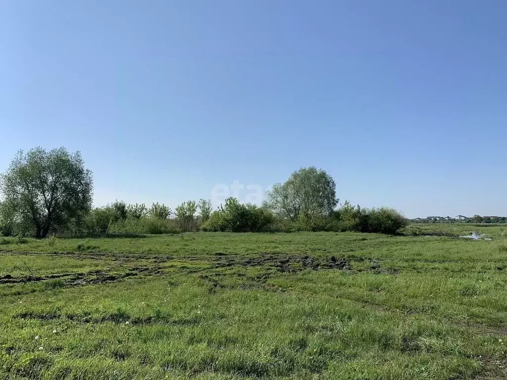 Участок в Воронежская область, Новоусманский район, пос. Отрадное ул. ... - Фото 0