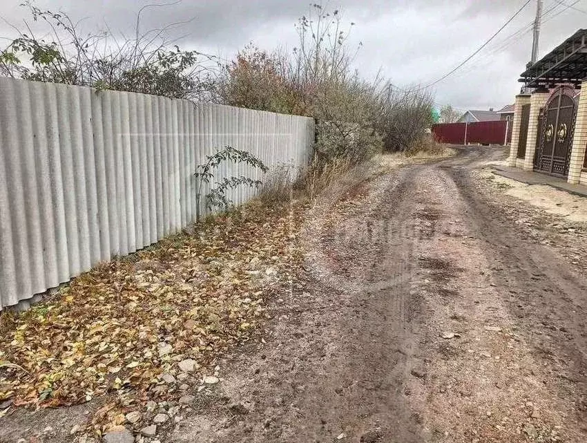 Участок в Воронежская область, с. Новая Усмань ул. Садовая (724.0 ... - Фото 1