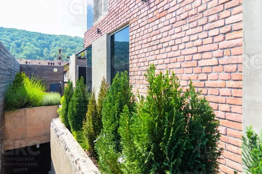 Дом в Краснодарский край, Сочи Береговая ул., 8/48 (372 м) - Фото 2