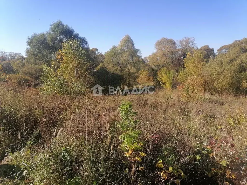 Участок в Московская область, Раменский городской округ, с. Никитское  ... - Фото 1