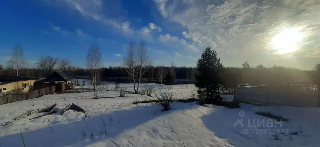 Участок в Алтайский край, Бийский район, с. Сростки Красноармейская ... - Фото 2