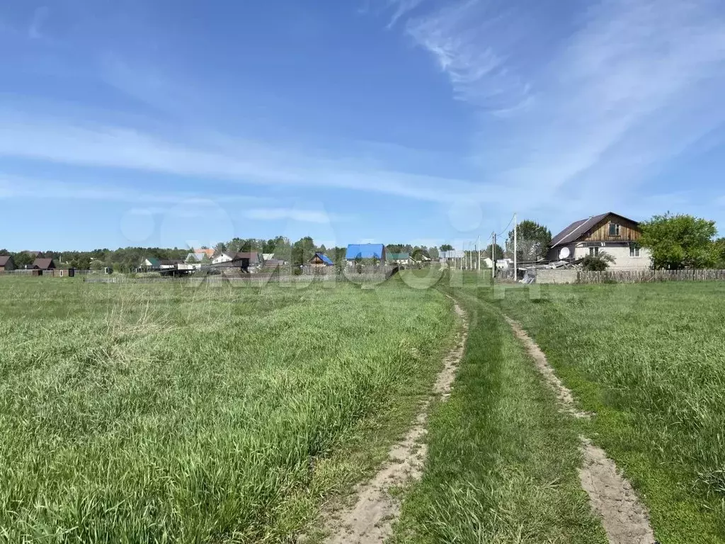 Участок 15 сот. (СНТ, ДНП) - Фото 1