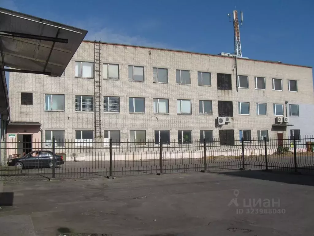 Помещение свободного назначения в Калининградская область, Светлый ул. ... - Фото 1