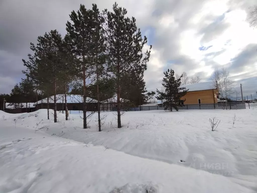 Участок в Московская область, Раменский муниципальный округ, д. ... - Фото 2