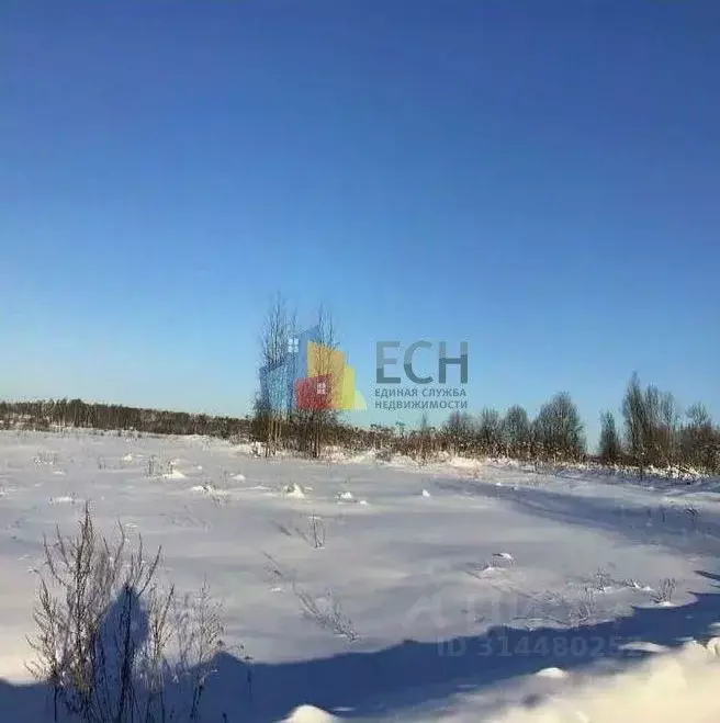 Участок в Тульская область, Новогуровский рп  (208.0 сот.) - Фото 2