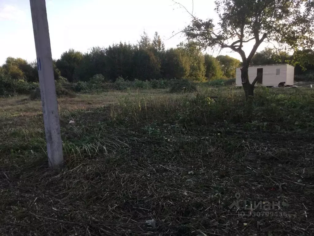 Дом в Тульская область, Новомосковск городской округ, с. Тетяковка ул. ... - Фото 1