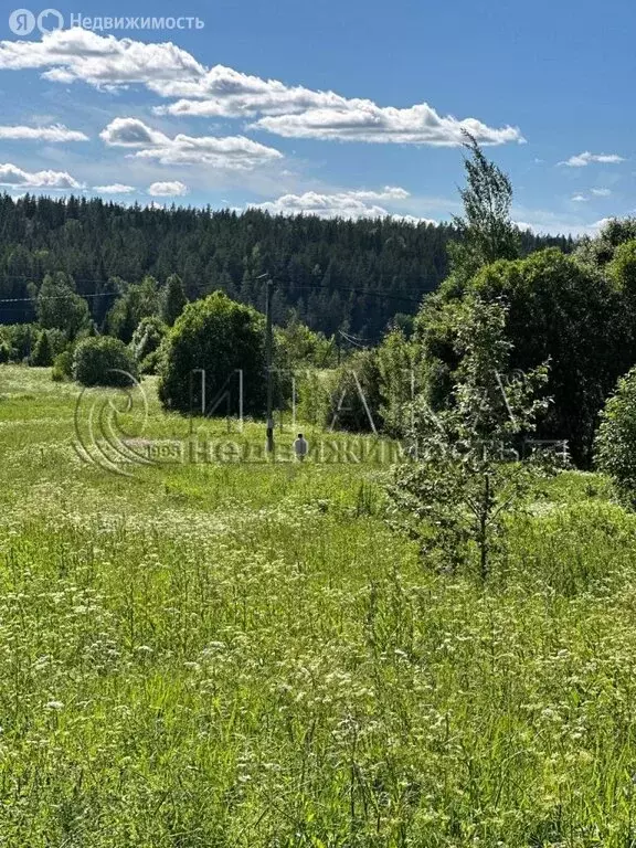 Участок в Выборгский район, Каменногорское городское поселение, ... - Фото 1