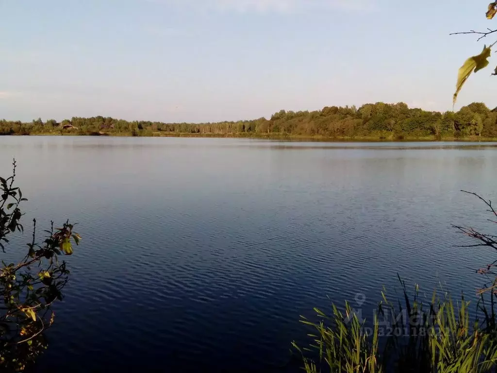 Участок в Смоленская область, Смоленск пос. Подснежники,  (10.0 сот.) - Фото 0