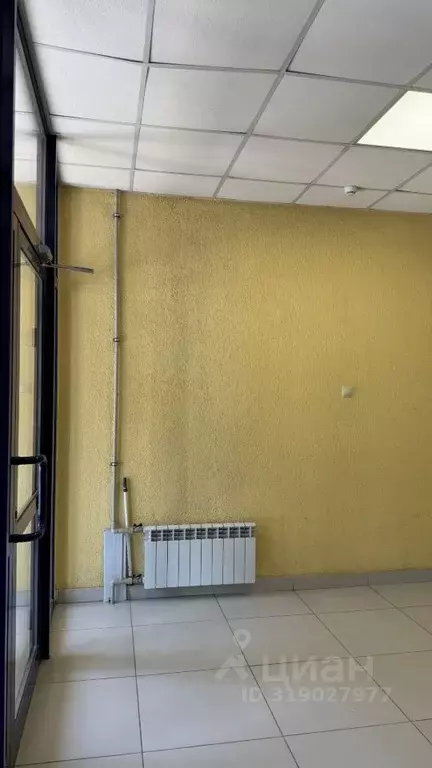 Помещение свободного назначения в Новосибирская область, Новосибирск ... - Фото 1