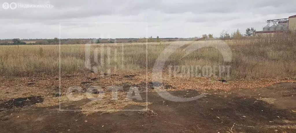 Участок в Воронежская область, Семилукское сельское поселение, село ... - Фото 0