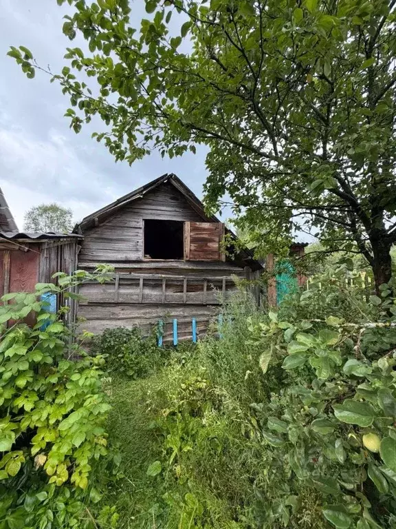 Дом в Нижегородская область, Лукояновский муниципальный округ, Имени ... - Фото 2