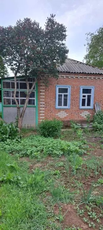 Дом в Ростовская область, пос. Зимовники  (48 м) - Фото 0
