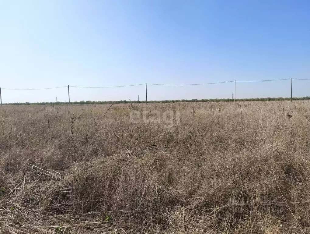 Участок в Краснодарский край, Ейск Виктория СТ, ул. 2-я (5.0 сот.) - Фото 0