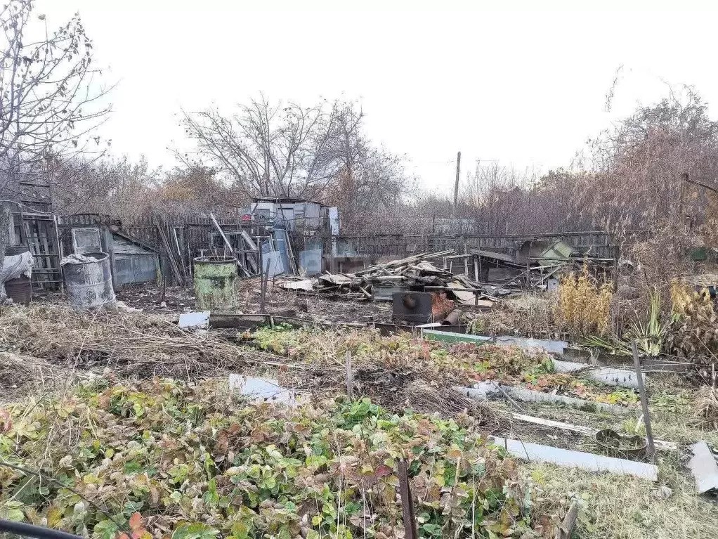 Участок в Челябинская область, Челябинск Тракторосад-2 садовое ... - Фото 1