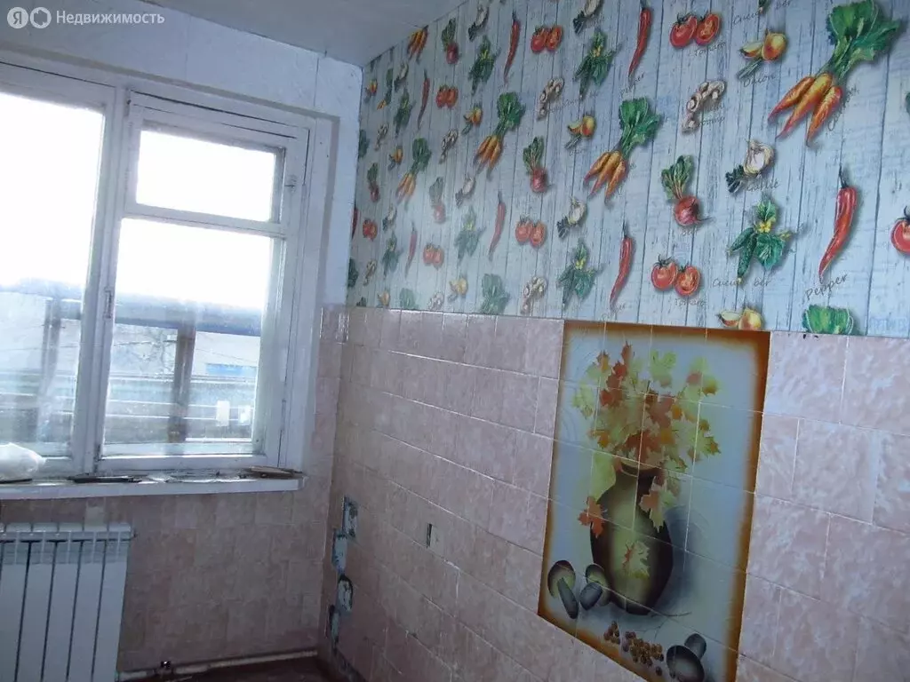 2-комнатная квартира: село Новая Сидоровка, Новая улица, 6 (50 м) - Фото 2