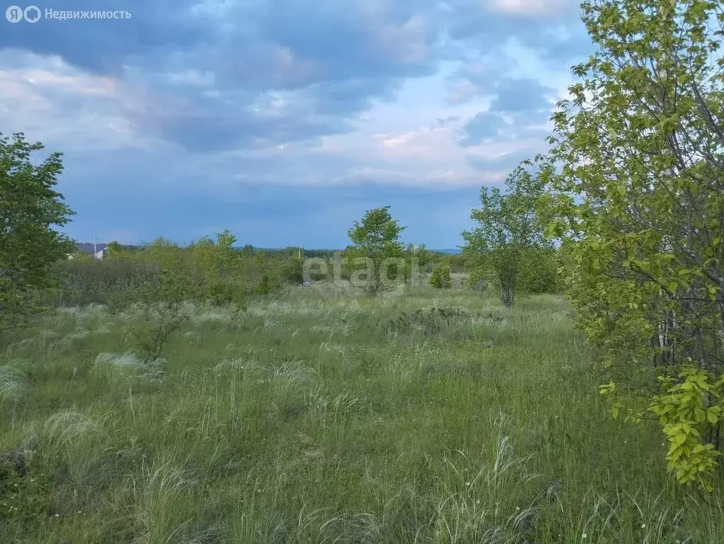 Участок в Аровский сельсовет, СТ Черёмушки (14.5 м) - Фото 2