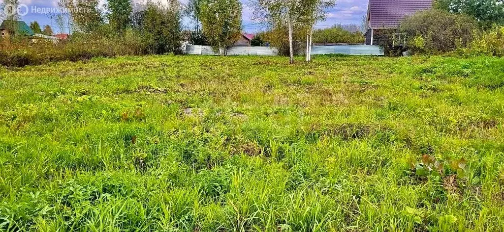 Участок в Колыванский район, садовое товарищество Вилана, Лесная улица ... - Фото 2