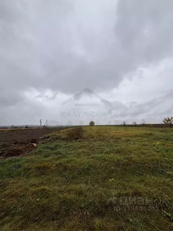 Участок в Калужская область, Ферзиковский муниципальный округ, Красный ... - Фото 1