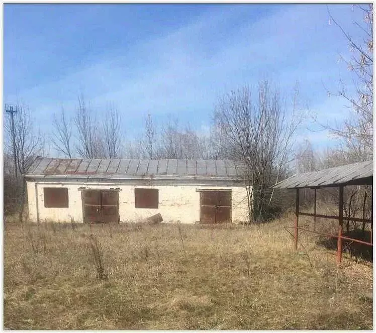 Помещение свободного назначения в Воронежская область, Новохоперский ... - Фото 2