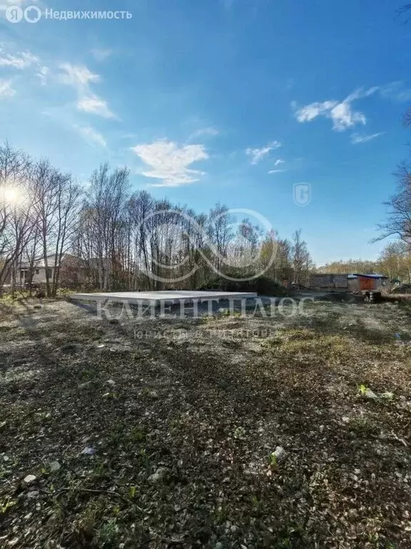 Участок в Южно-Сахалинск, СДТ Ласточка (10 м) - Фото 1