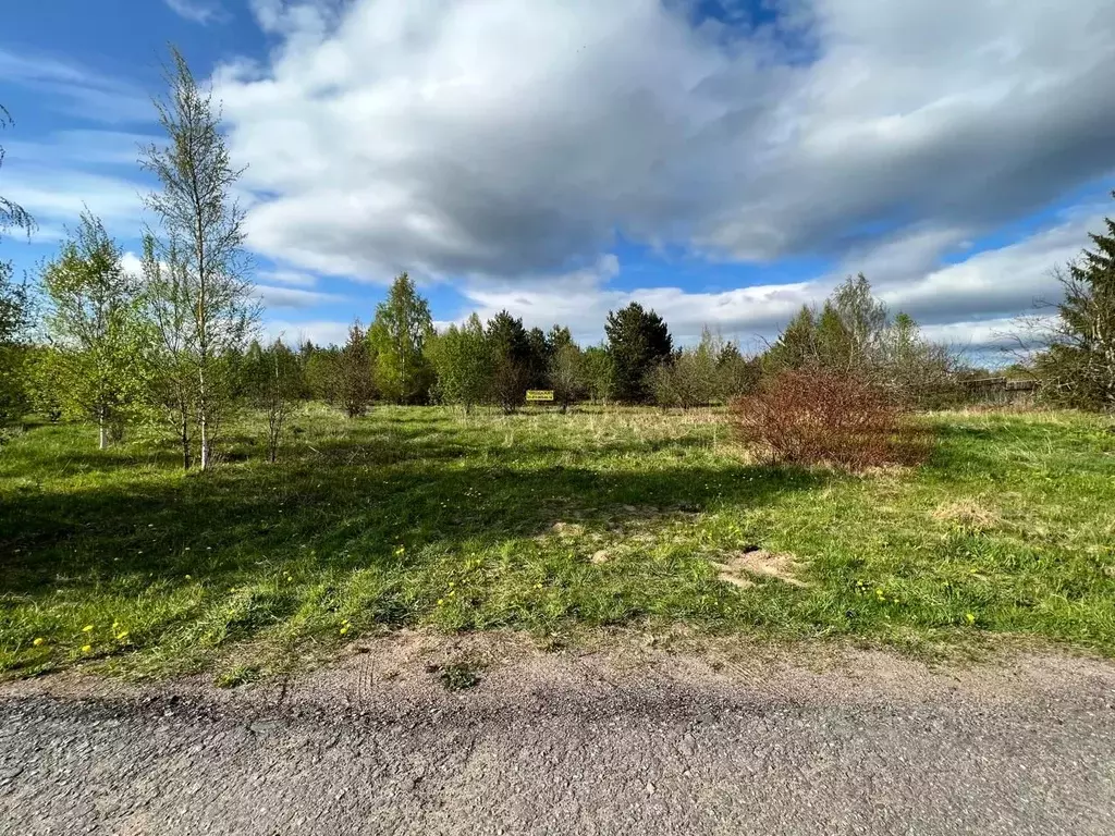 Участок в Ленинградская область, Приозерский район, Красноозерное ... - Фото 1