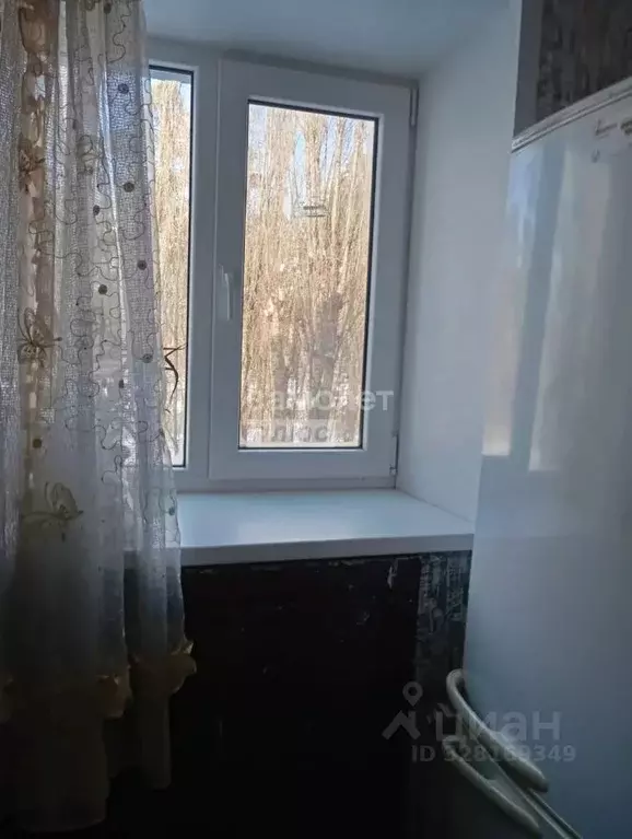 1-к кв. Липецкая область, Липецк Краснознаменная ул., 10 (28.4 м) - Фото 1