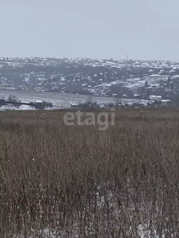 Участок в Белгородская область, Белгородский район, Головинское с/пос, ... - Фото 1