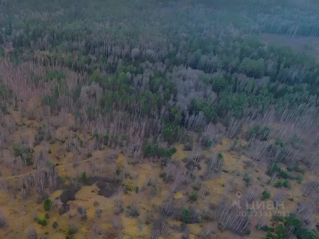 Участок в Калужская область, Дзержинский муниципальный округ, Угорское ... - Фото 2