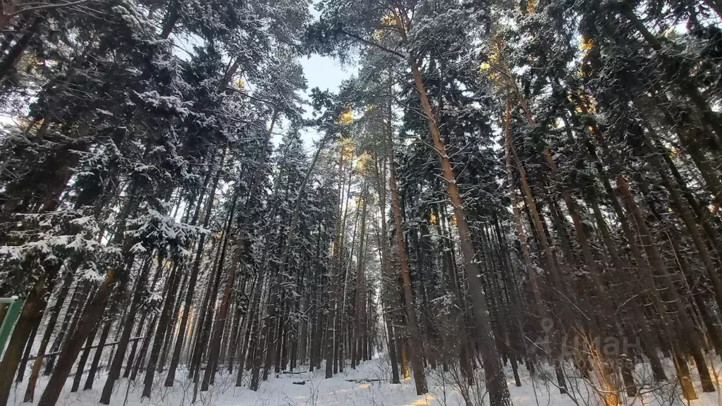 Участок в Московская область, Домодедово городской округ, с. Успенское . - Фото 1