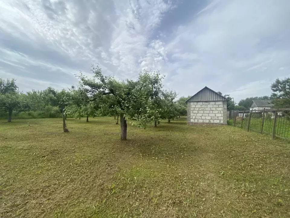 Дом в Орловская область, Мценский район, Подберезовское с/пос, д. ... - Фото 1