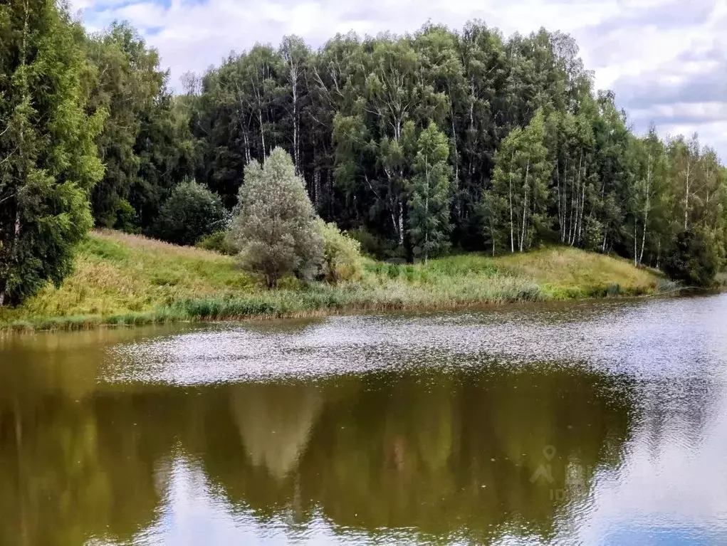 Участок в Нижегородская область, Богородский муниципальный округ, д. ... - Фото 0