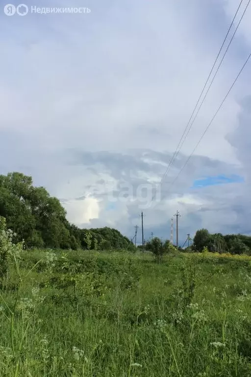 Участок в село Щелканово, улица Яншина (18 м) - Фото 0