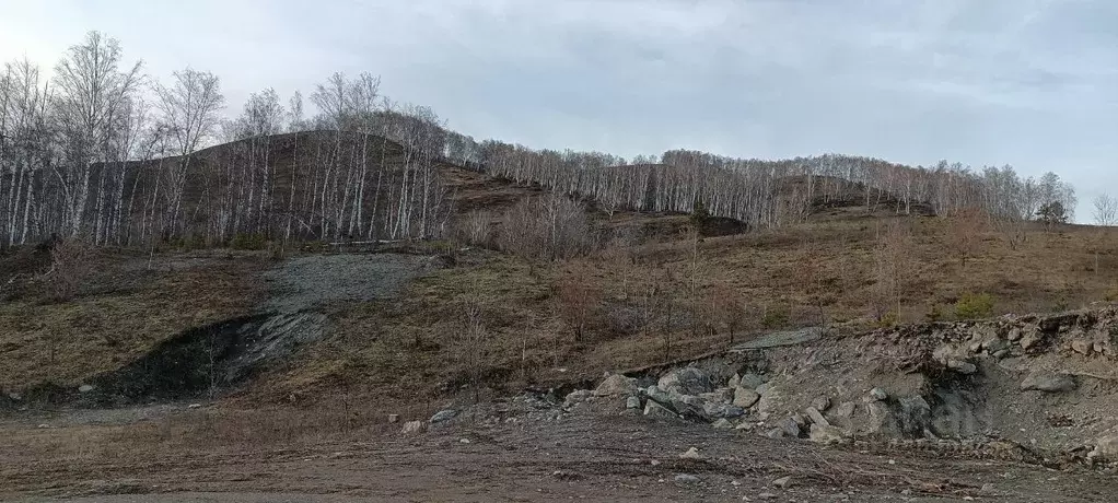 Участок в Алтайский край, Алтайский район, с. Нижнекаянча ул. ... - Фото 0