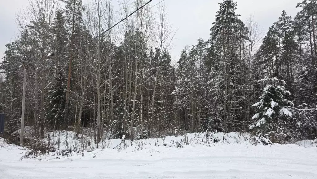 Участок в Ленинградская область, Всеволожский район, Агалатовское ... - Фото 1