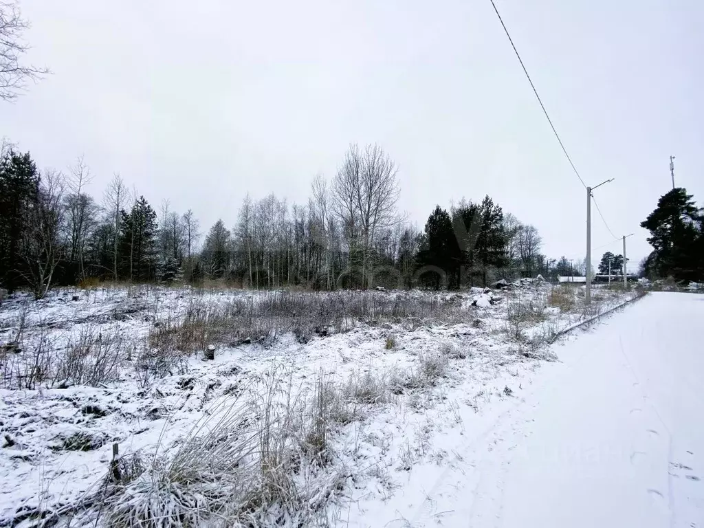 Участок в Ленинградская область, Приозерск ул. Испытателей, 5 (12.0 ... - Фото 1