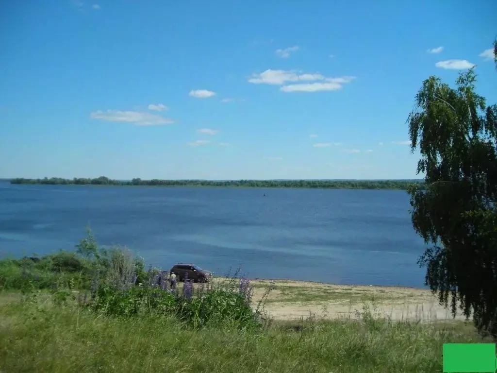 Участок в Нижегородская область, Лысковский район, с. Сельская Маза ... - Фото 1