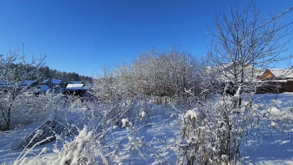 Участок в Московская область, Солнечногорск городской округ, д. ... - Фото 1