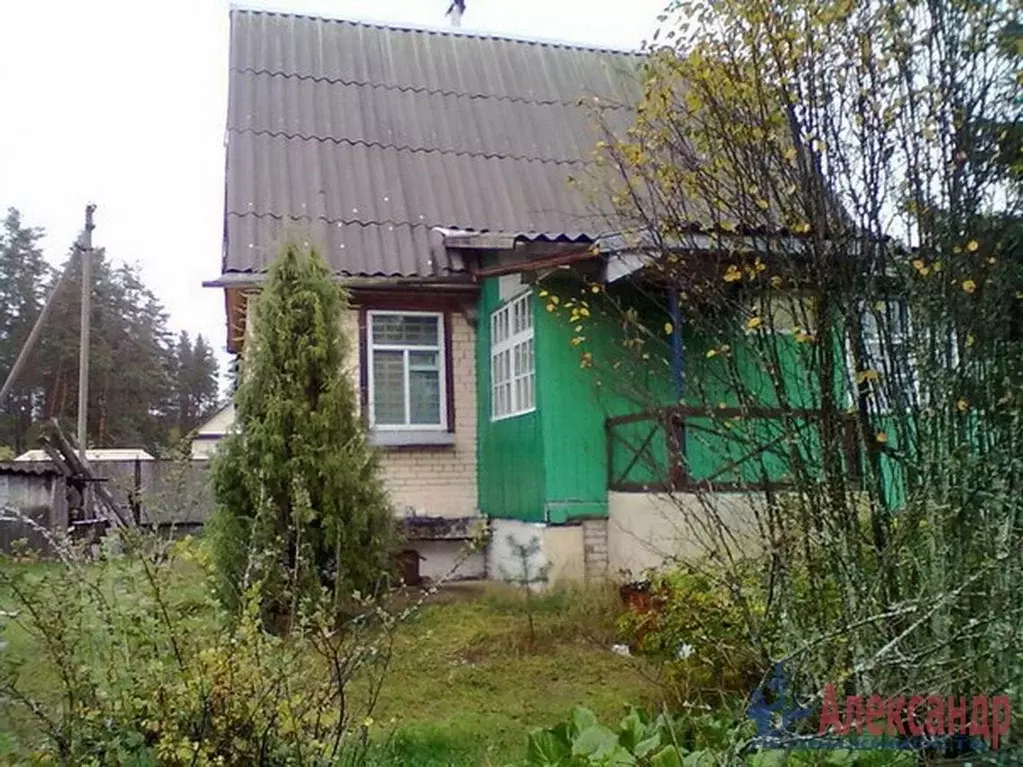 Дом в Ленинградская область, Лужский район, Толмачевское городское . - Фото 1