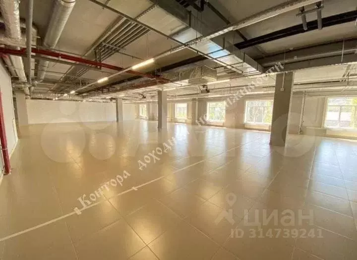 Торговая площадь в Ростовская область, Ростов-на-Дону просп. Сиверса, ... - Фото 0