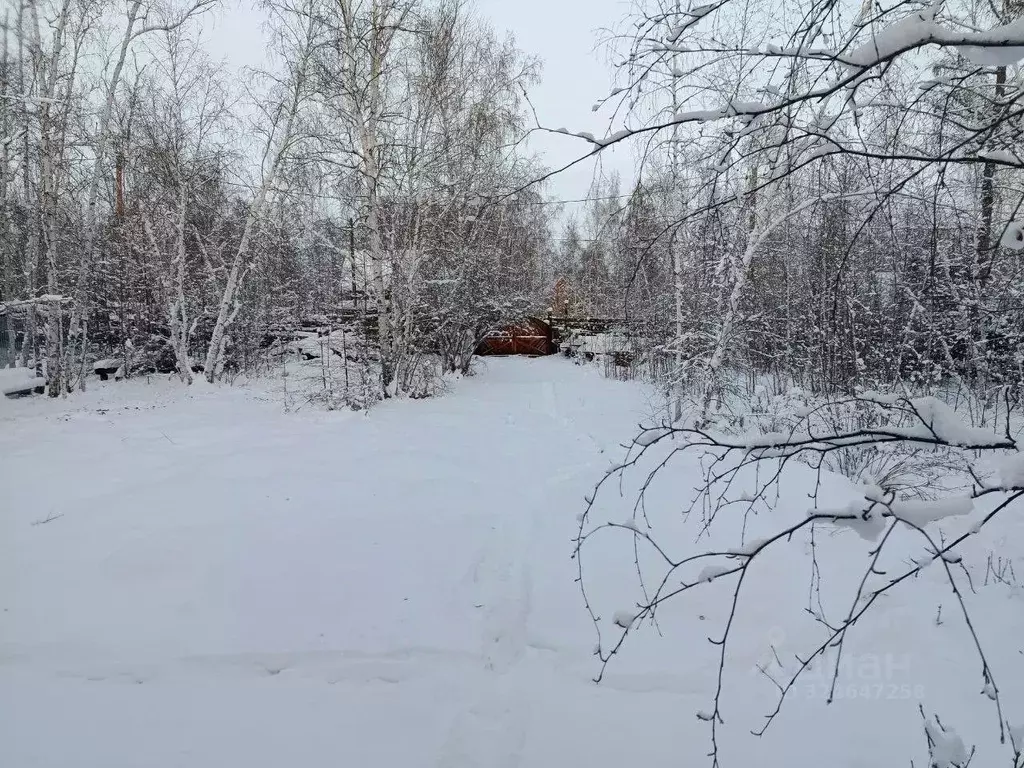 Дом в Саха (Якутия), Якутск городской округ, с. Маган  (30 м) - Фото 1
