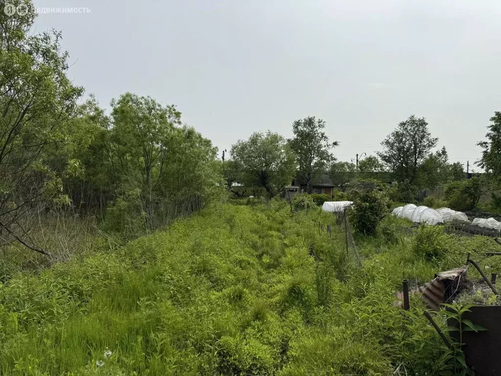 Участок в Артём, СТ Светофор-2 (9 м) - Фото 0