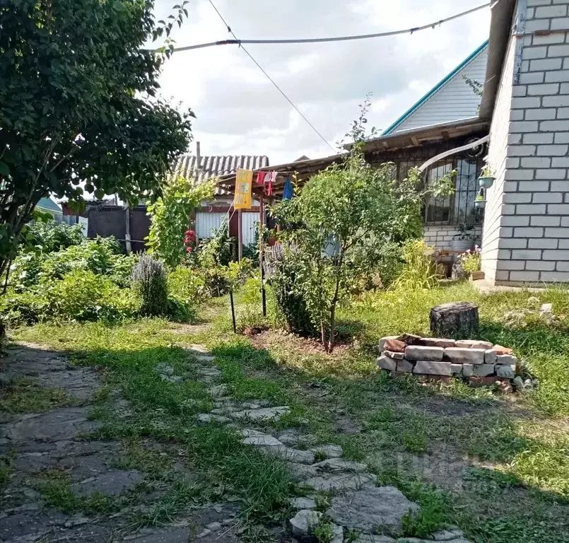 Комната Воронежская область, Новоусманский район, пос. Отрадное ул. ... - Фото 1