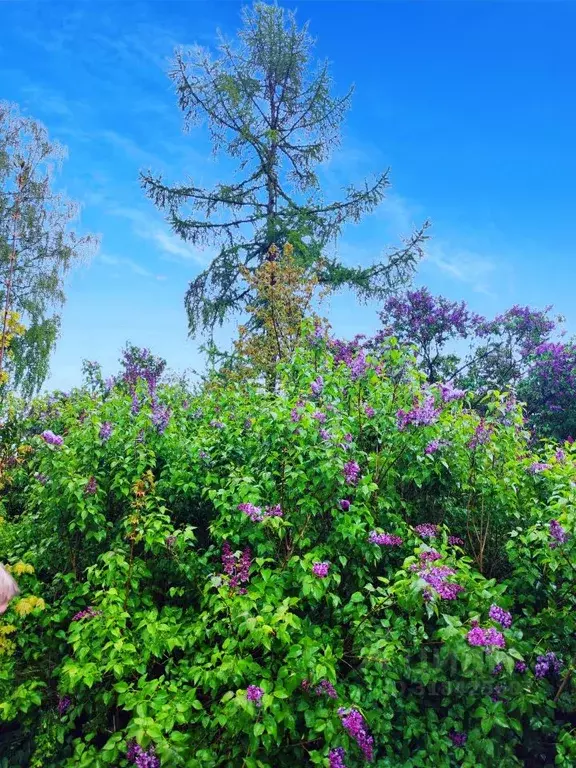 Участок в Псковская область, Псков Железнодорожная ул., 21 (17.0 сот.) - Фото 2