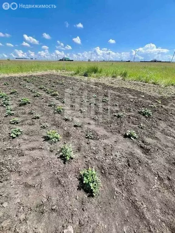 Участок в село Девица, Молодёжная улица, 4 (12 м) - Фото 2